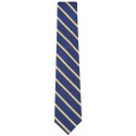 Stylish Stripe Pattern Men's Tie