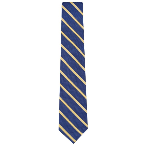 Stylish Stripe Pattern Men's Tie