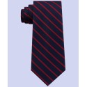 Men's Exotic Woven Striped Silk Tie